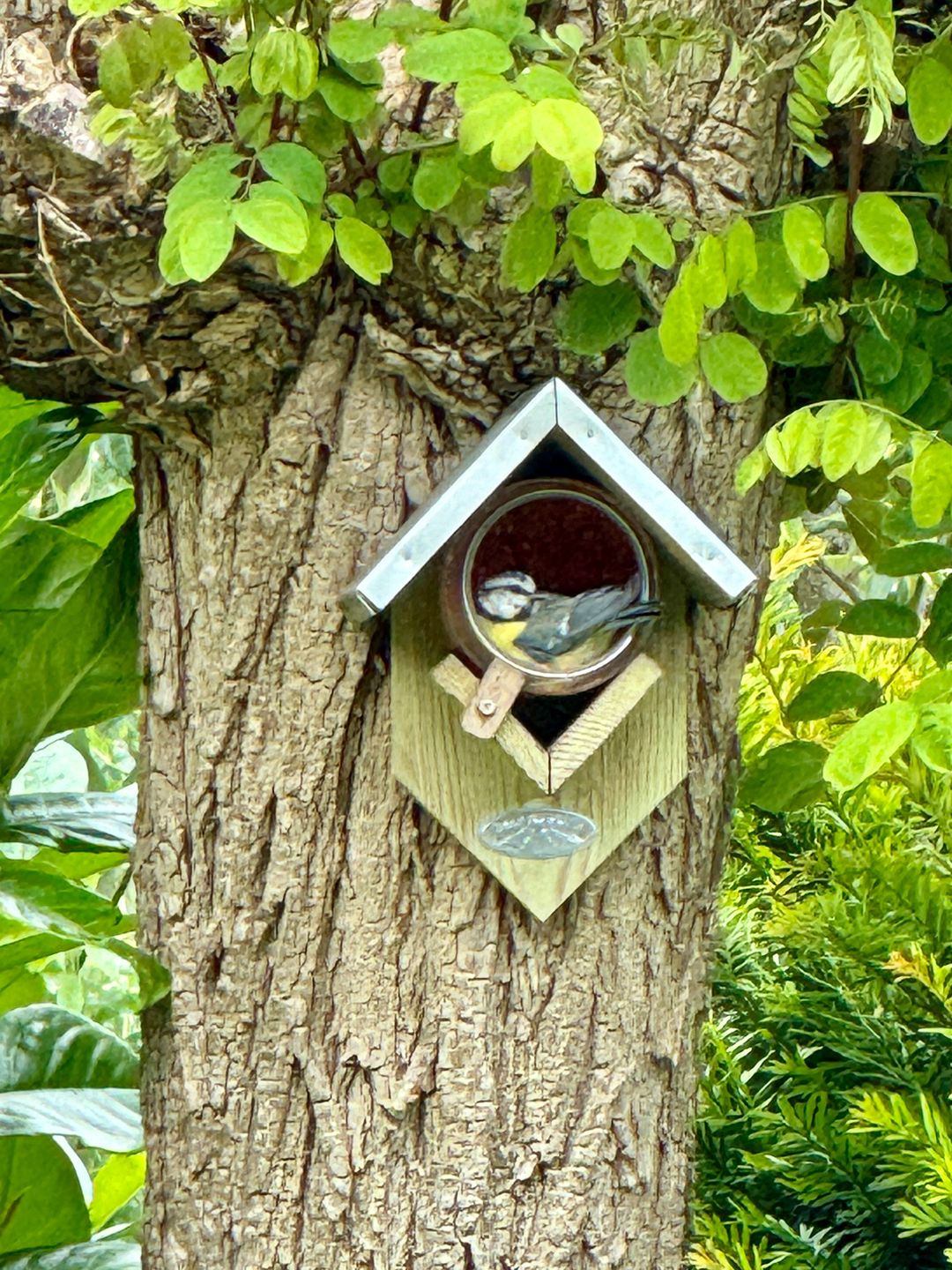 Foto 118 van de Uilenburg 10