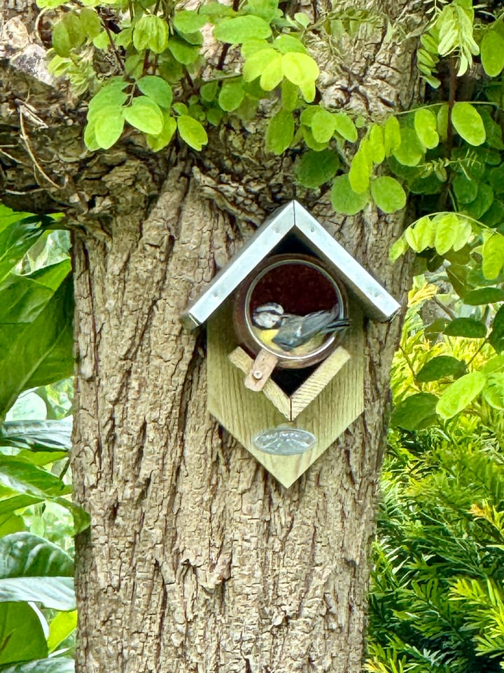 Foto 118 van de Uilenburg 10