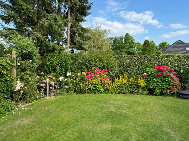 Foto 119 van de Uilenburg 10