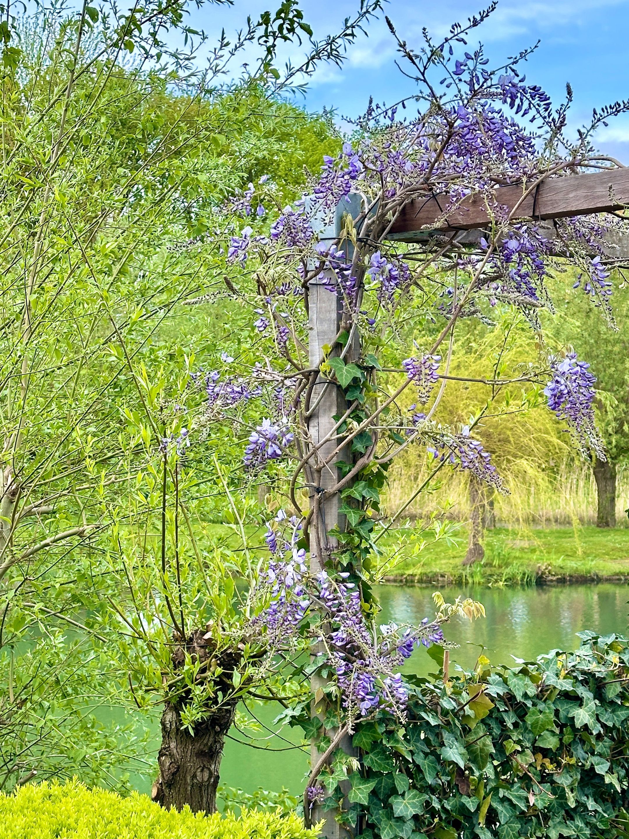 Foto 120 van de Uilenburg 10