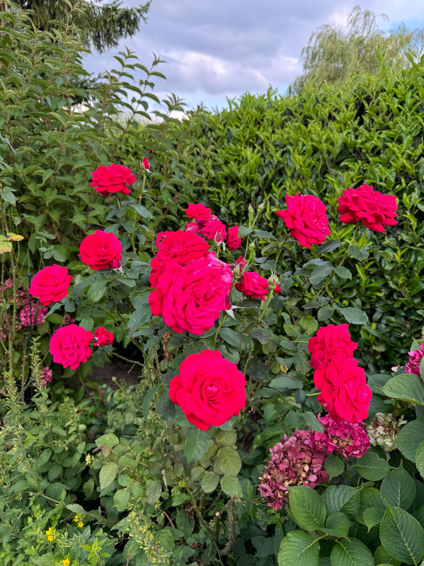 Foto 125 van de Uilenburg 10