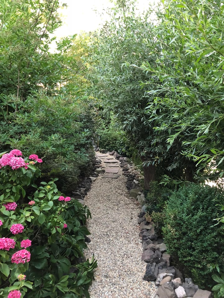 Foto 127 van de Uilenburg 10