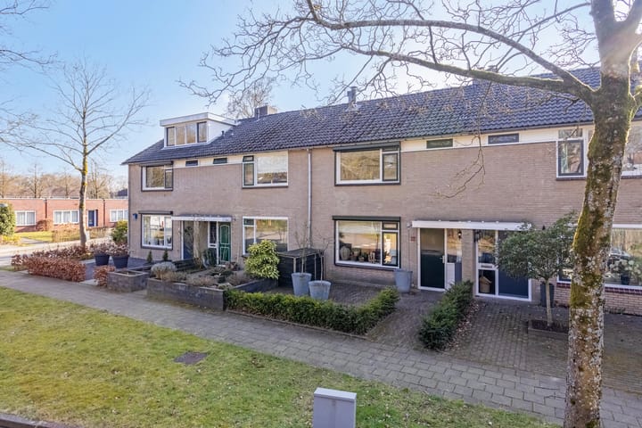 Foto 3 van Krugerstraat 221