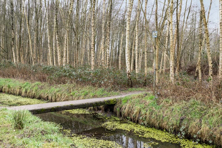 Foto 31 van Nijlring 29