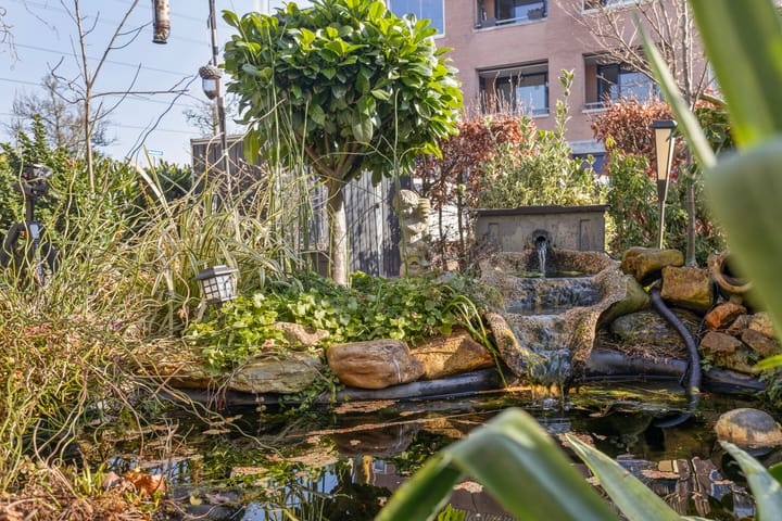 Foto 6 van Mr. C. Goselingstraat 26