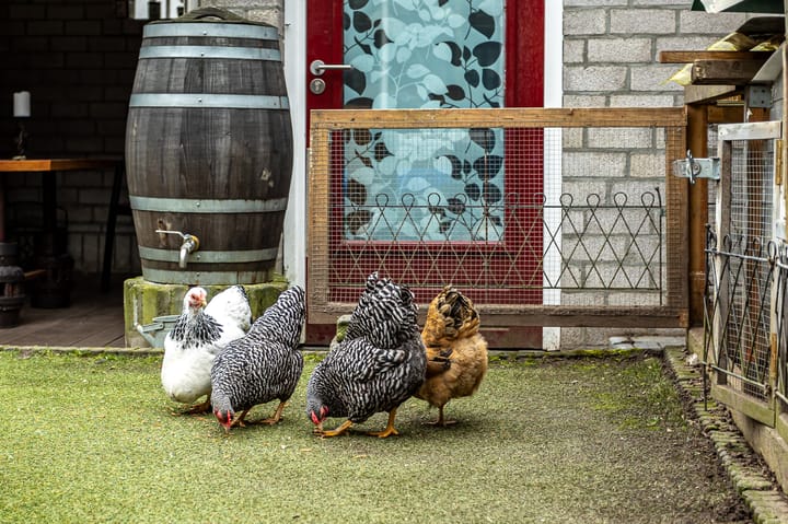 Foto 35 van van de Veldeweg 29