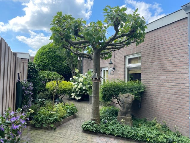 Foto 36 van Piusstraat 339