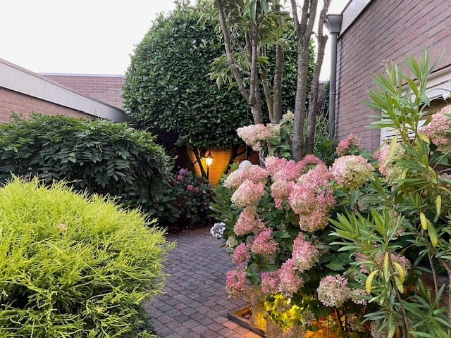 Foto 38 van Piusstraat 339