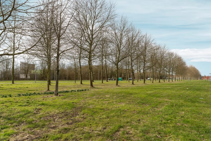 Foto 5 van Funke Küpperplantsoen 5