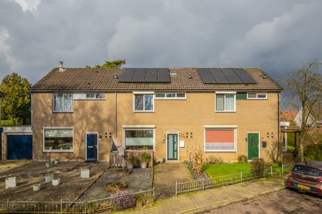 undefined main image