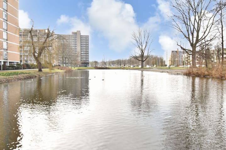 Foto 49 van Louis Davidsstraat 473