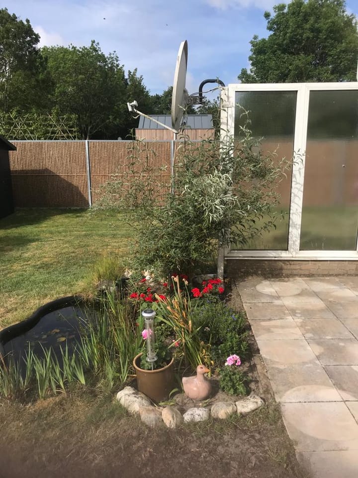 Foto 26 van Molenhoeve 42