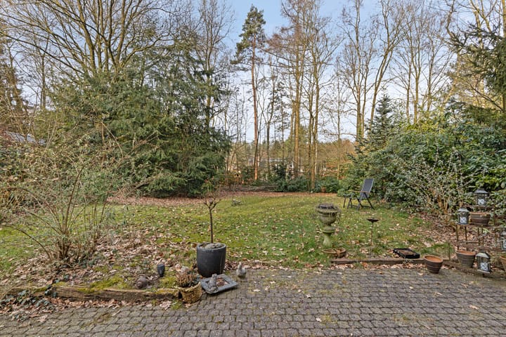 Foto 35 van Borgersstede 6