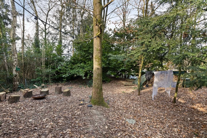 Foto 38 van Borgersstede 6