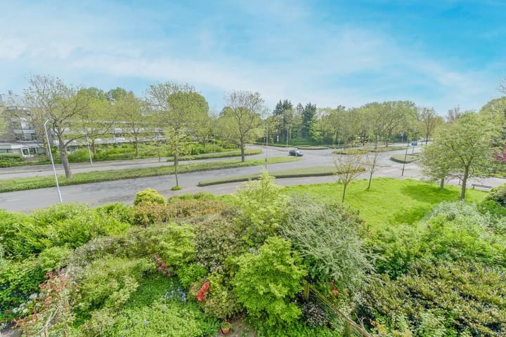 Foto 20 van Tulpentuin 33