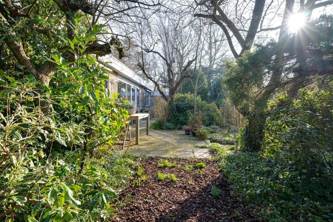 Foto 38 van Schipperslaan 3