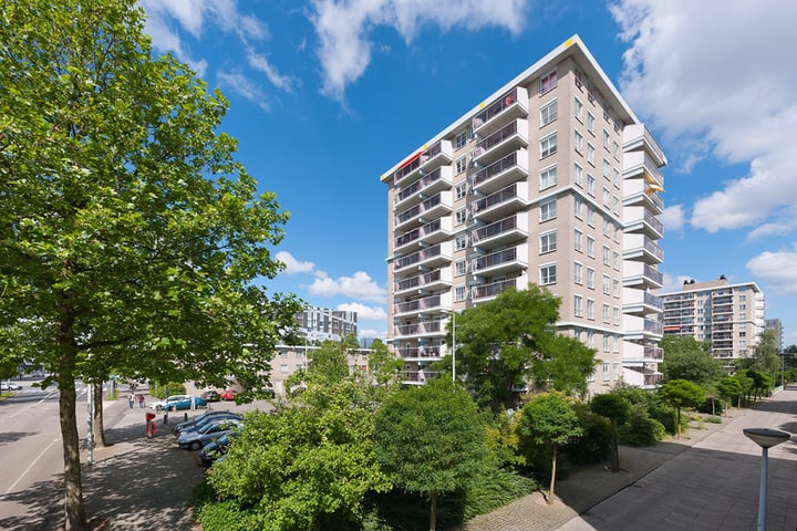 View photo of Geervliet 207