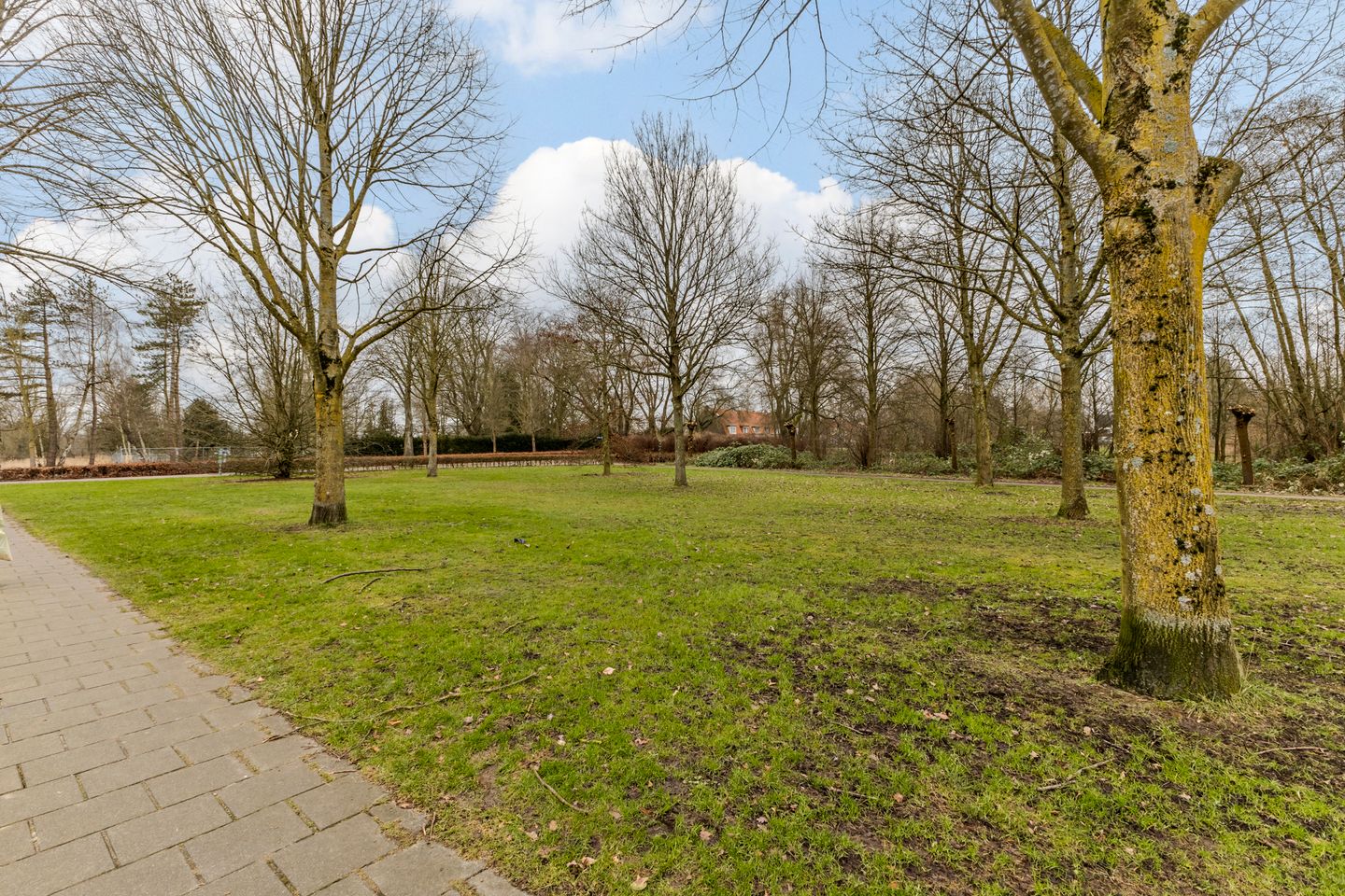 Foto 49 van Anna Paulownalaan 7