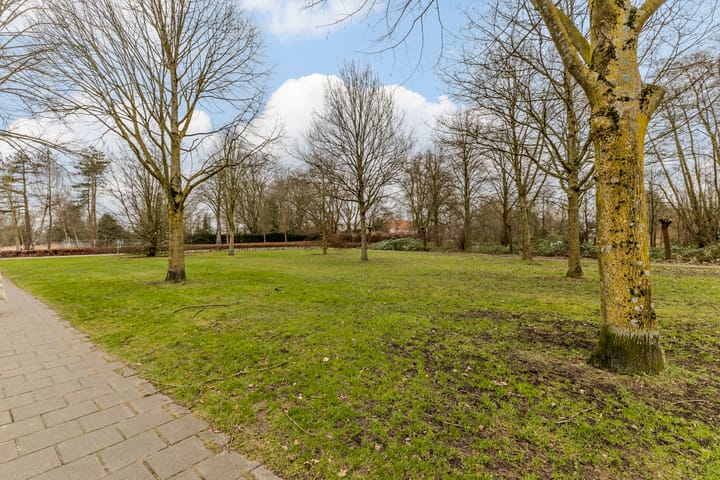 Foto 49 van Anna Paulownalaan 7