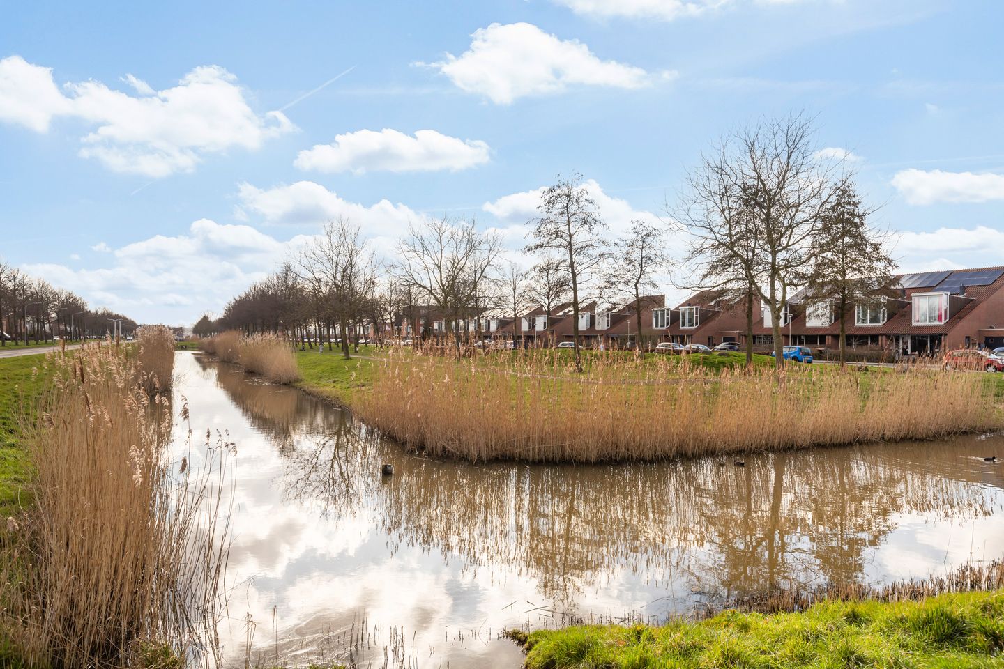 Foto 65 van Boomkleverlaan 163