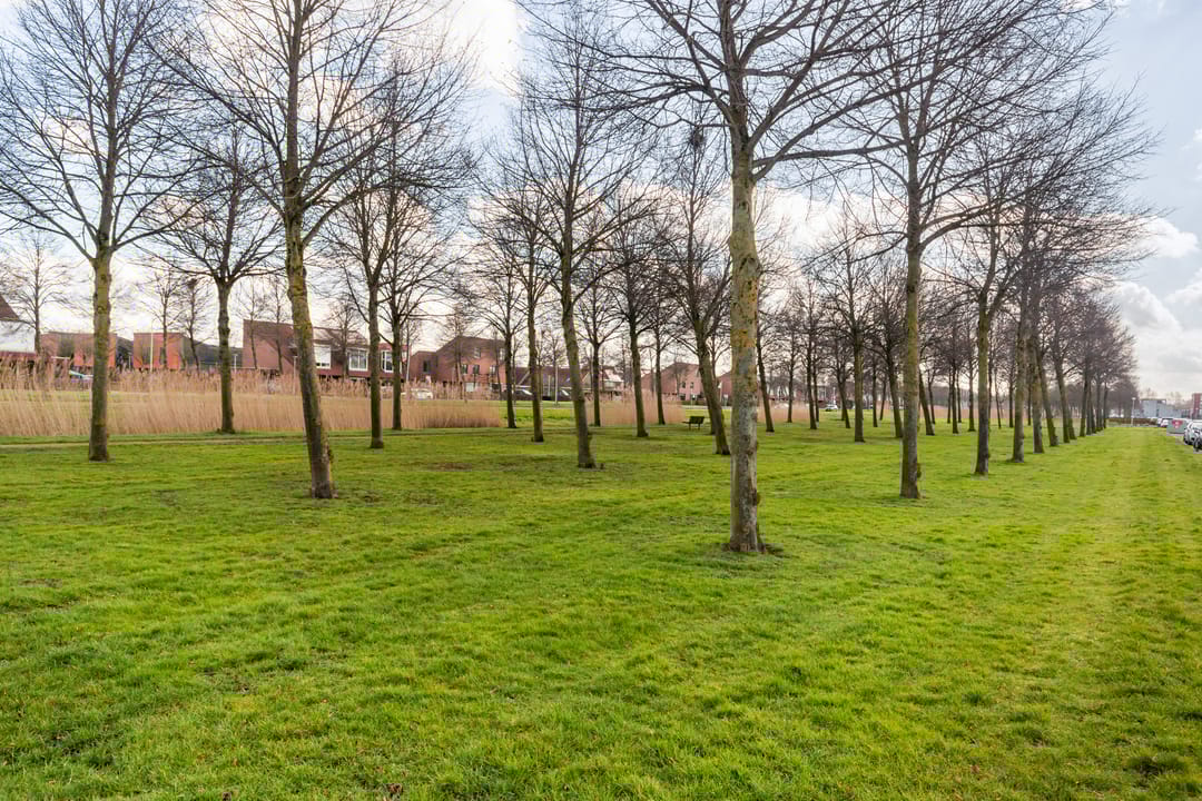 Foto 67 van Boomkleverlaan 163