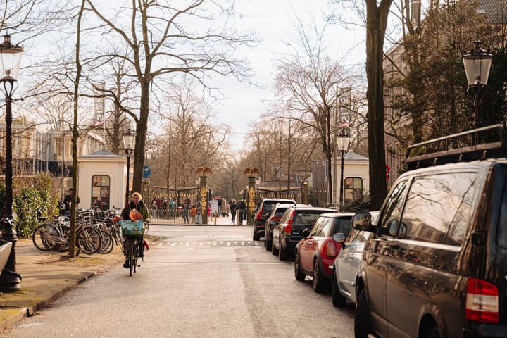 Foto 21 van Henri Polaklaan 25-2