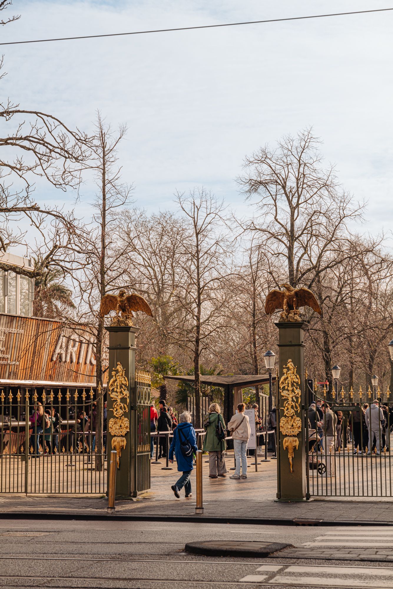 Foto 24 van Henri Polaklaan 25-2