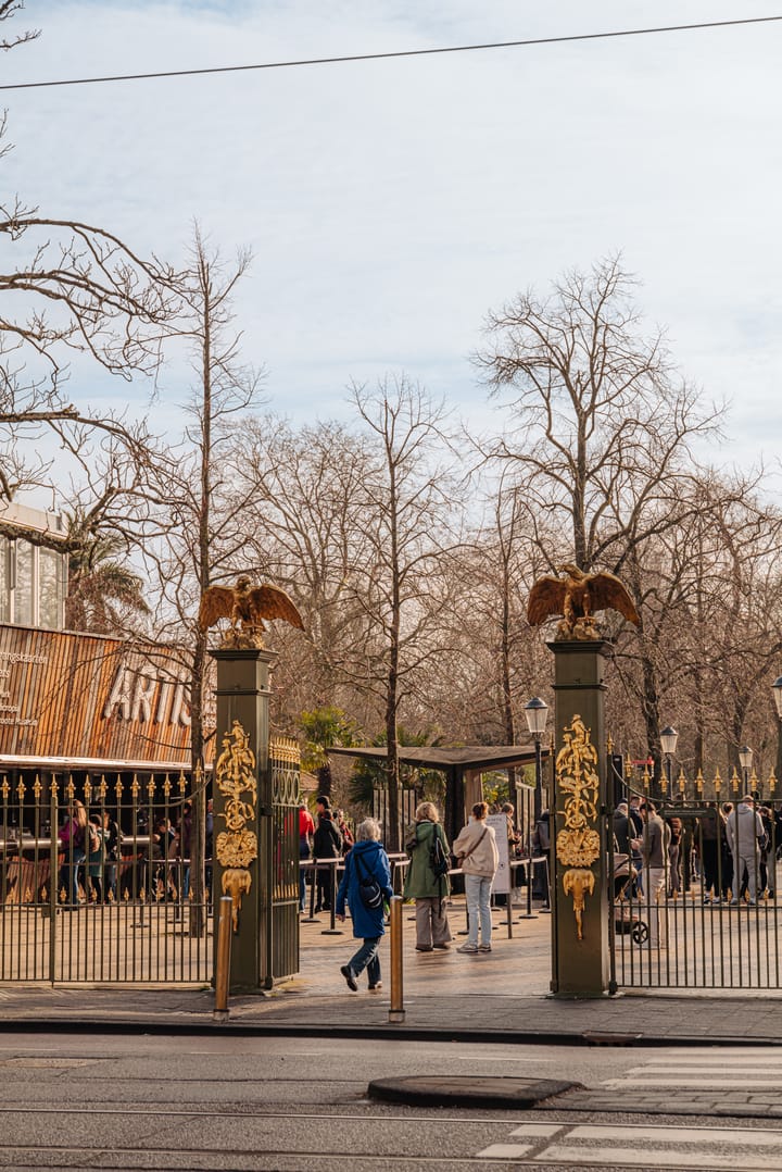 Foto 24 van Henri Polaklaan 25-2