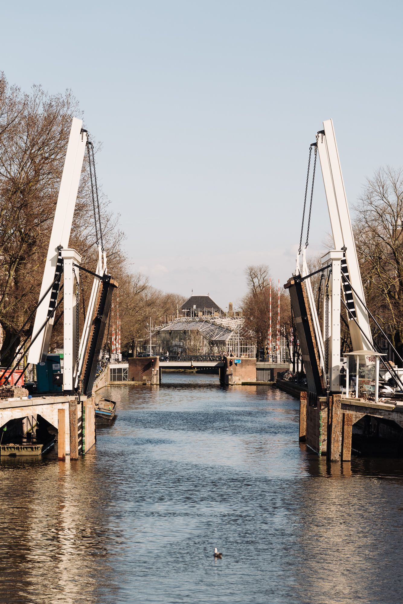 Foto 25 van Henri Polaklaan 25-2