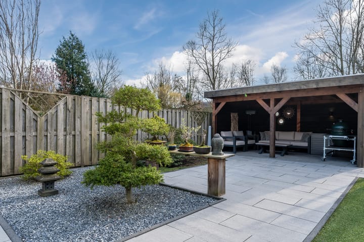 Photo 31 of Weegbree 18