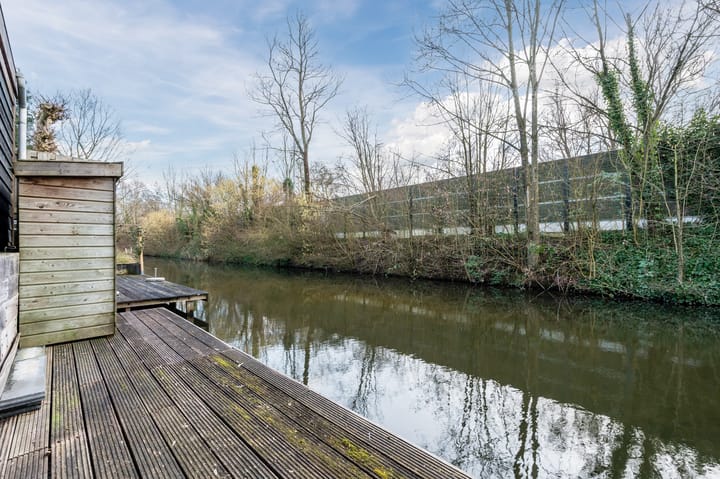 Photo 35 of Weegbree 18