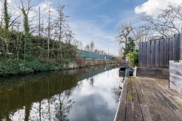 Photo 36 of Weegbree 18