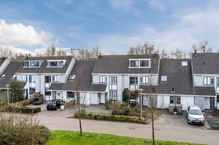 Photo 38 of Weegbree 18