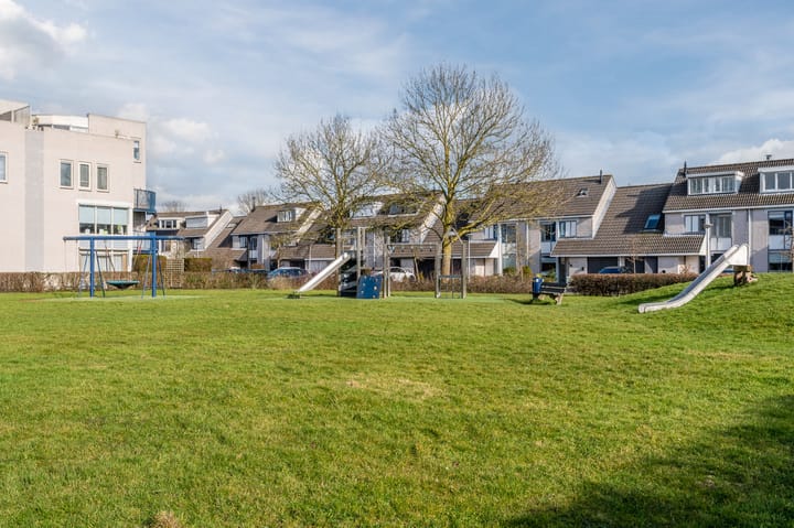 Photo 39 of Weegbree 18