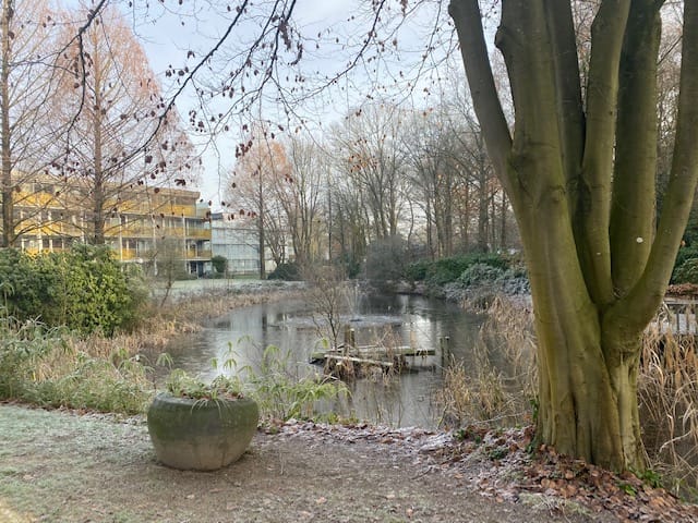 Foto 30 van Park Boswijk 523