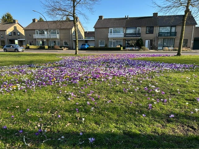 Foto 4 van Vondellaan 91