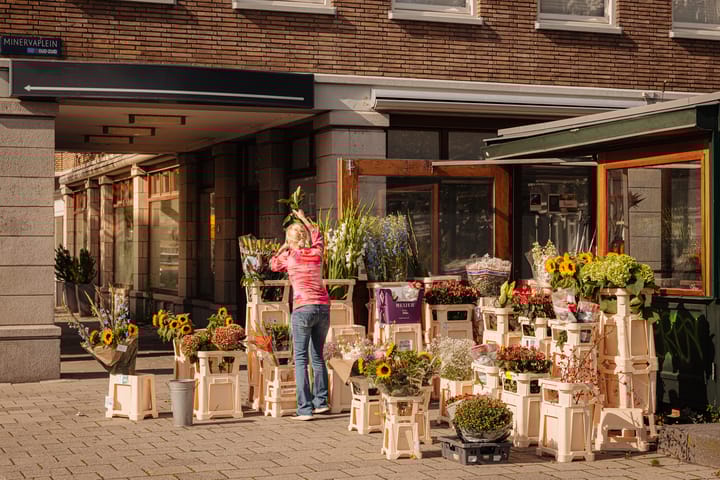 Photo 32 of Minervalaan 72-H