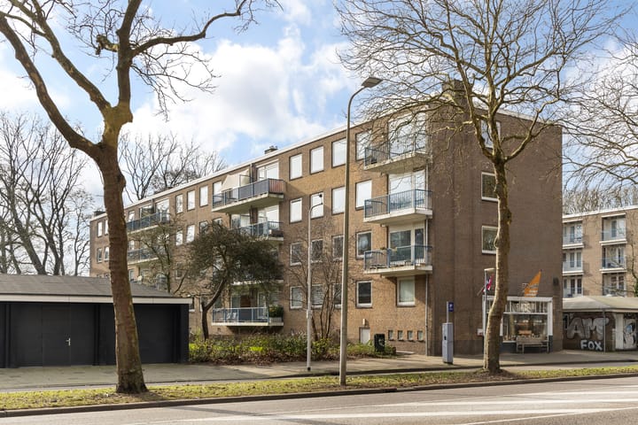 Foto 27 van Rubenslaan 63-3