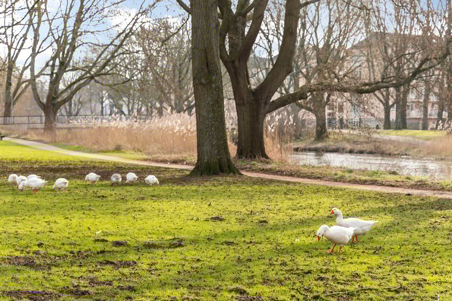 Foto 29 van Rubenslaan 63-3