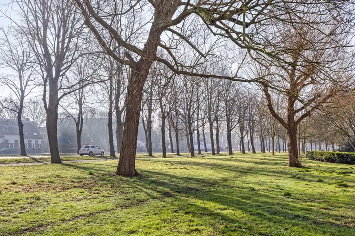 Foto 36 van De Goejestraat 44