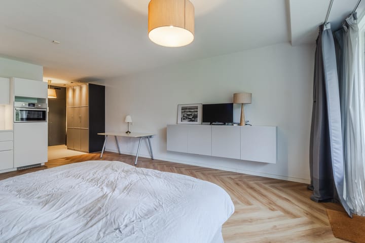 Foto 5 van Frederikstraat 313