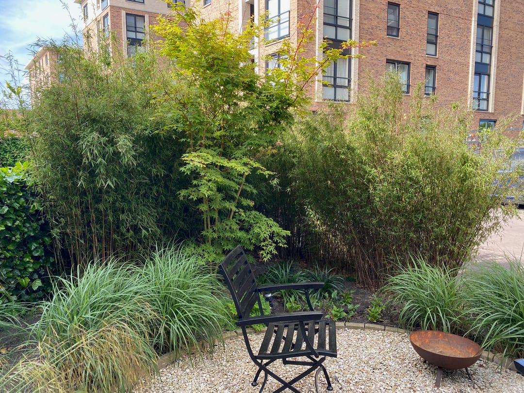 Foto 83 van Adriaan van Royenlaan 33