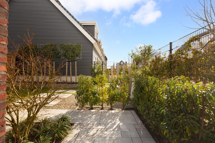 Foto 37 van Helmbloem 17