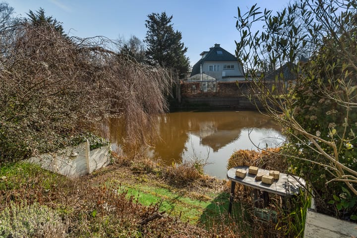 Foto 38 van Sweelinck 8