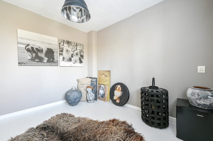 Foto 24 van Roerdomp 75