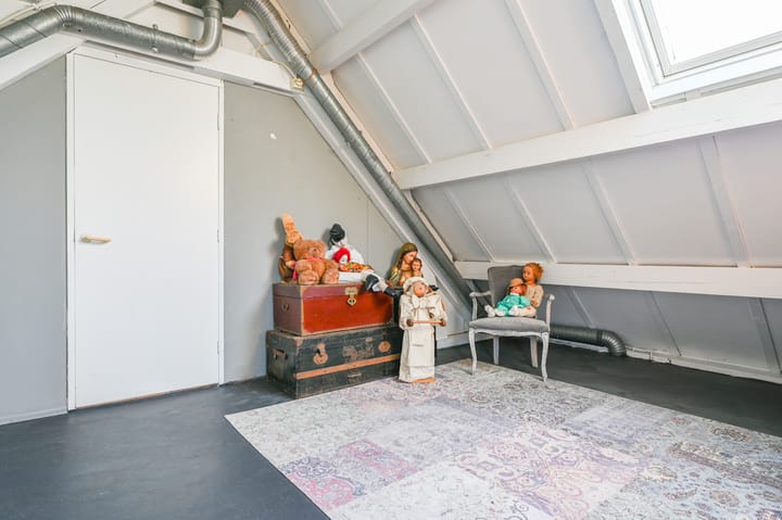 Foto 32 van Roerdomp 75