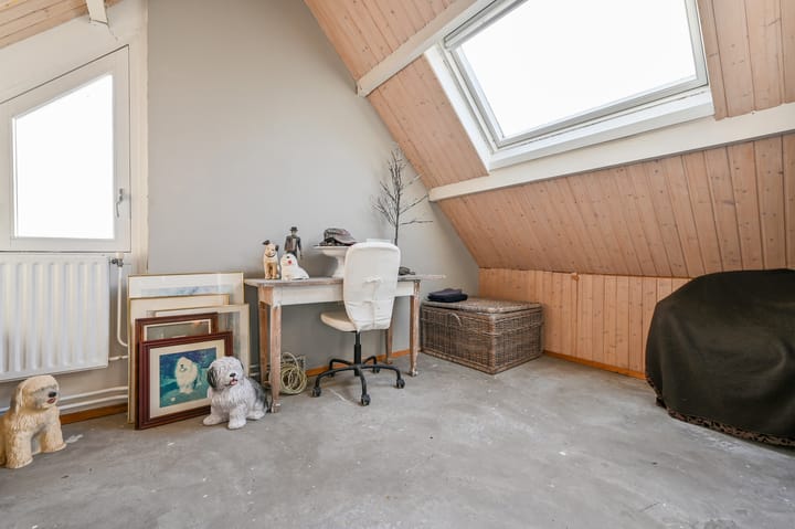 Foto 34 van Roerdomp 75