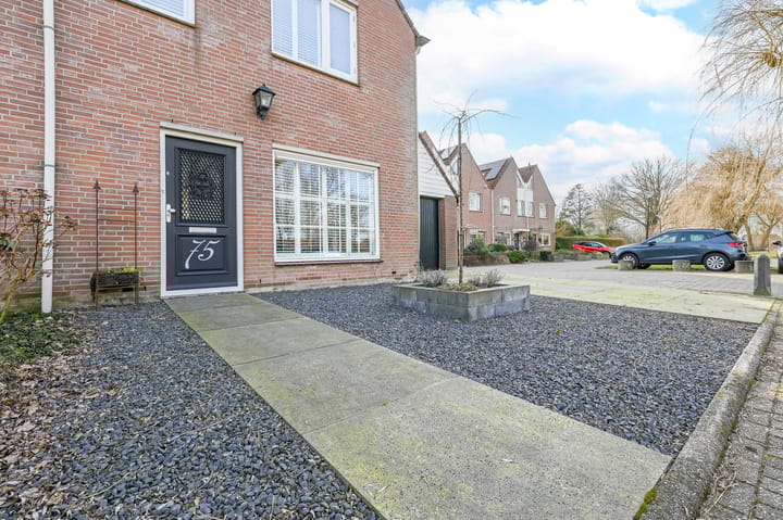 Foto 47 van Roerdomp 75