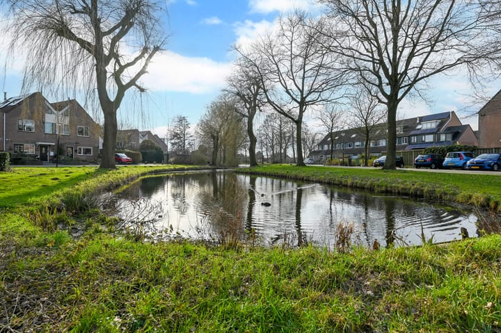 Foto 48 van Roerdomp 75