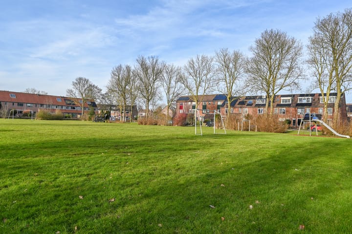 Foto 50 van Roerdomp 75